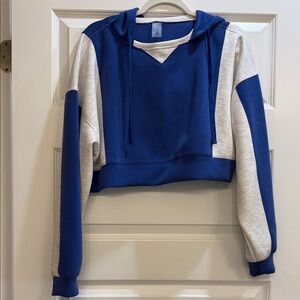 Altar'd State Blue and Gray Cropped Sweatshirt